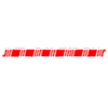 Racers & Riders